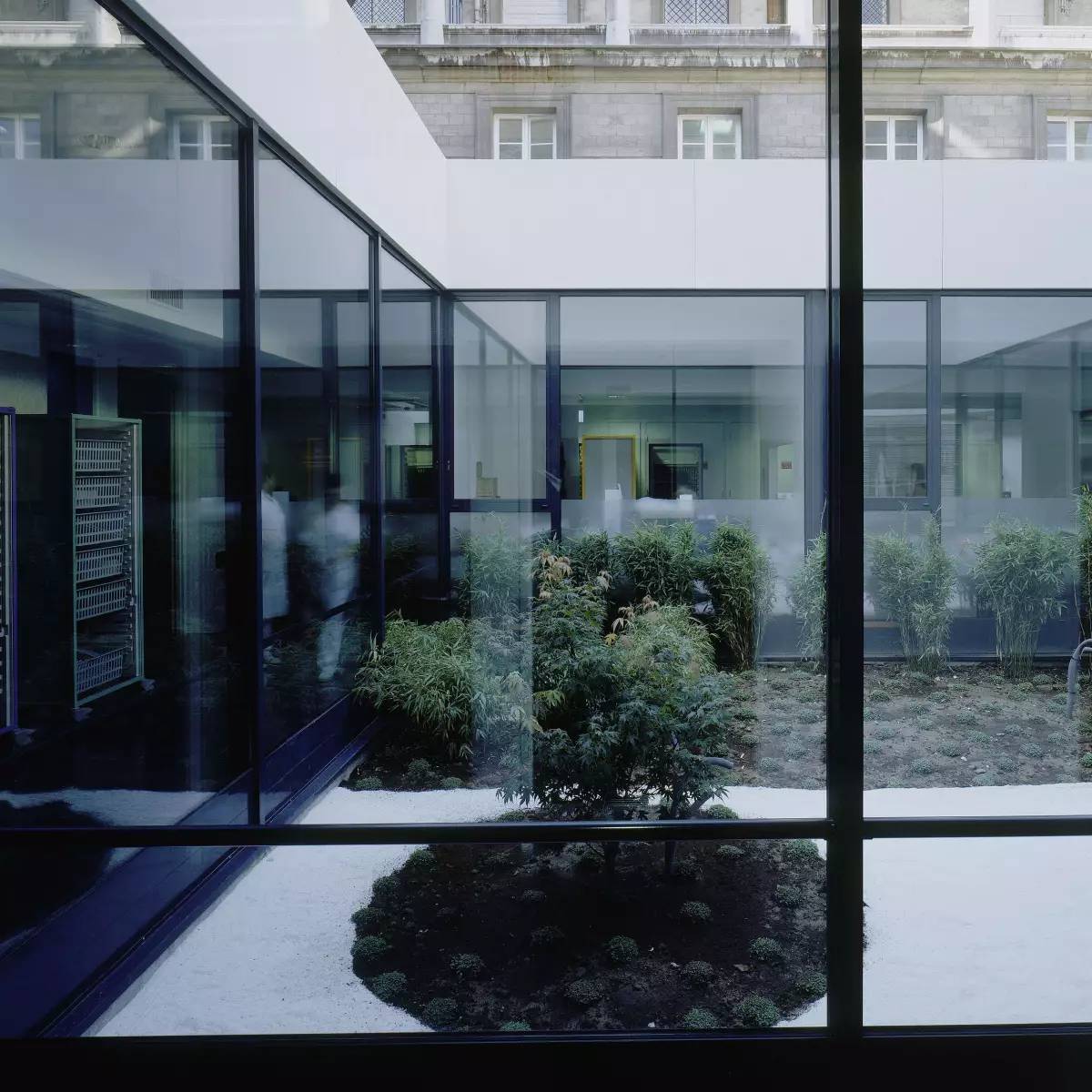 PARIS 4ème - Restructuration et extension des urgences de l'Hôpital Hôtel-Dieu